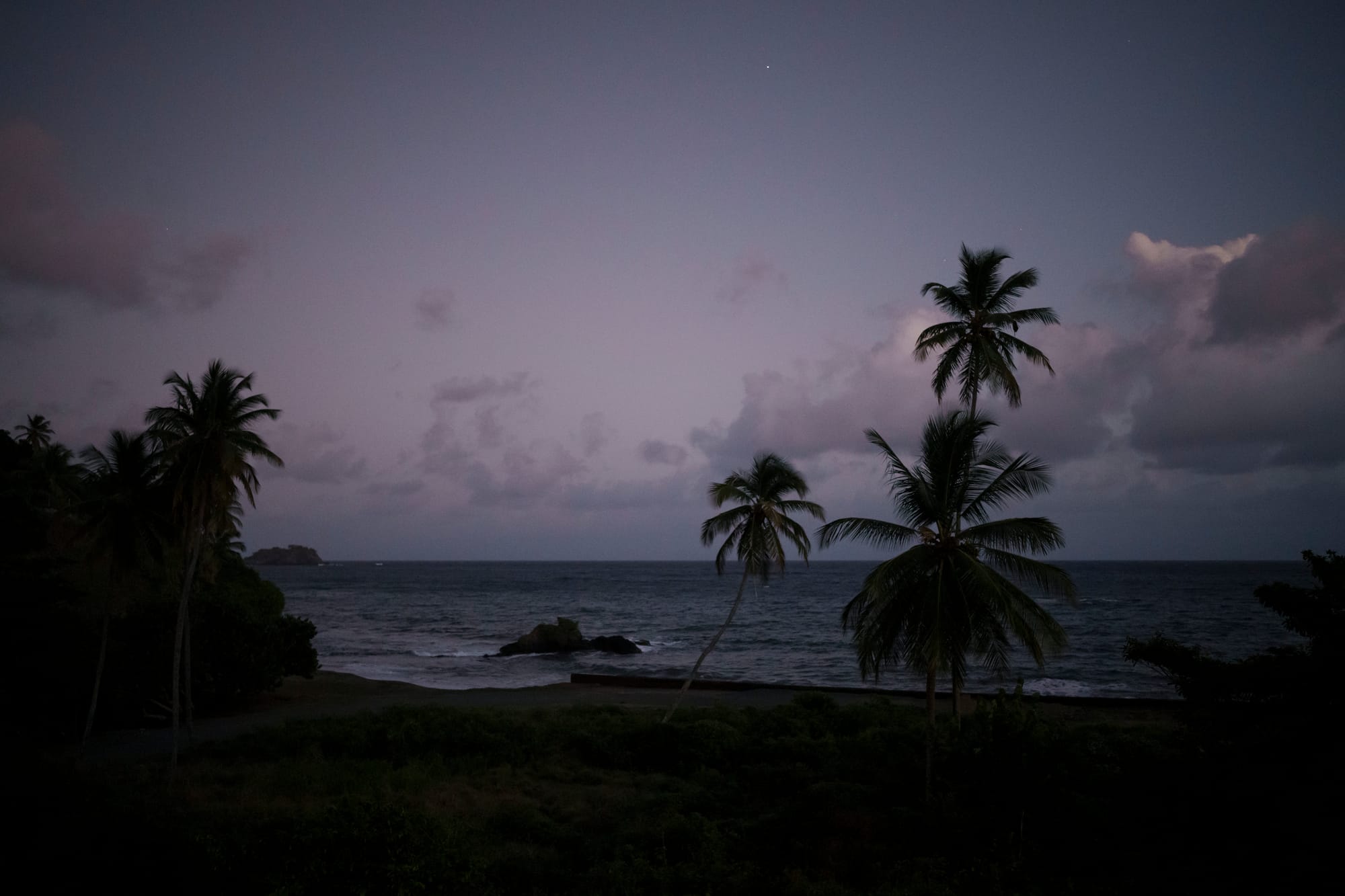 A beach with palm trees at dawn.